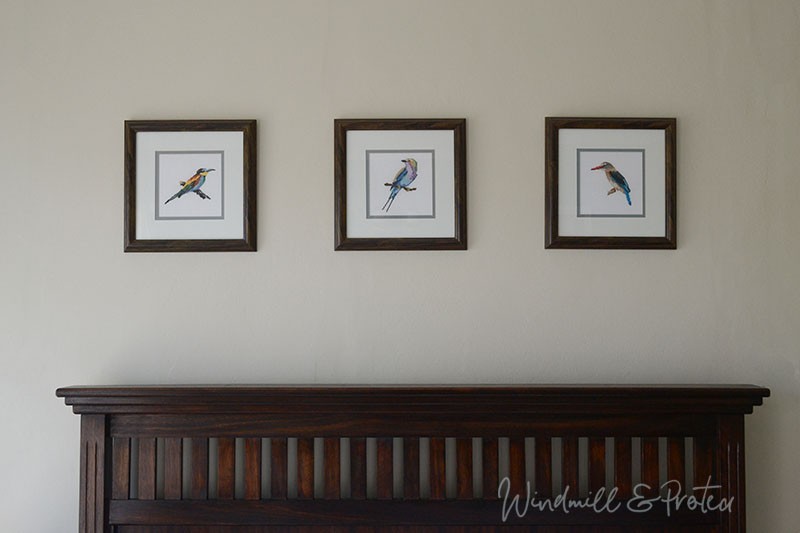 Beautiful Birds Cross Stitch Designs and Free Patterns - All 3 designs | www.windmillprotea.com