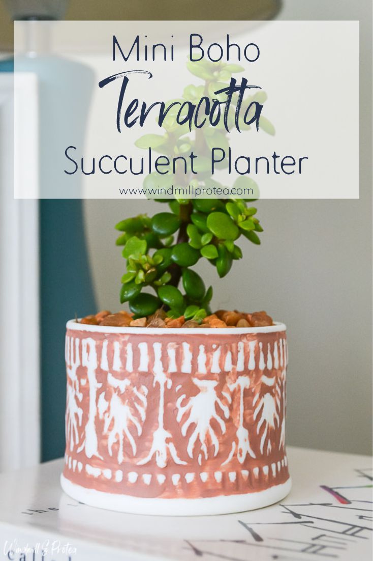 Mini Boho Terracotta Succulent Planter | www.windmillprotea.com
