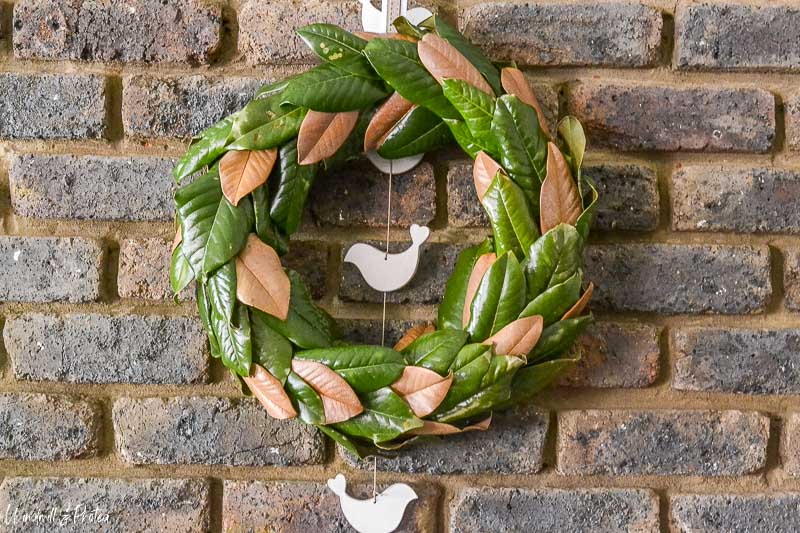 DIY Magnolia Wreath | www.windmillprotea.com