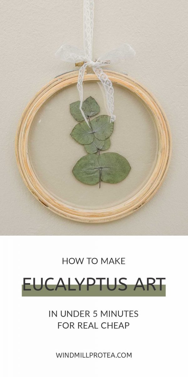 How to make Eucalyptus Art in Under 5 Minutes | www.windmillprotea.com